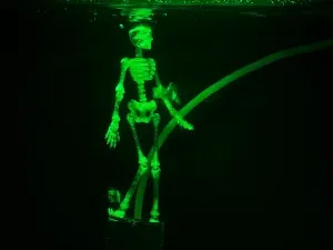 Fish tank dancing skeleton