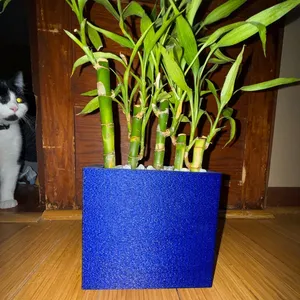 Stucco Planter