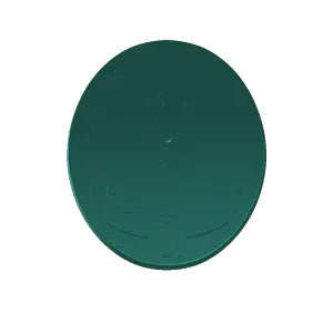 Medalha Nossa Senhora Aparecida