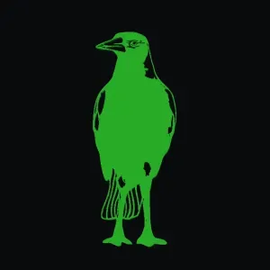 Australian Magpie