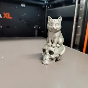 Skull on cat