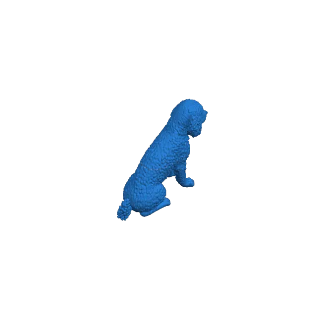 cão d'água irlandês — Image 2 of 2