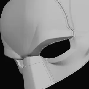 the Bat's cowl