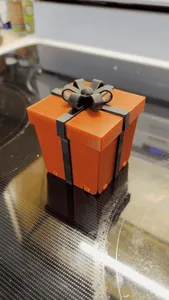 Christmas box w/ middle finger