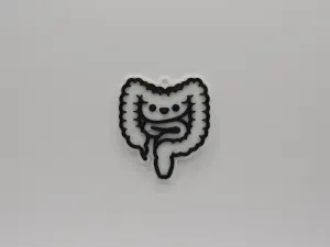 Cute Anatomical Intestine Keychain #1