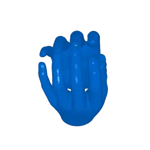 cat hands