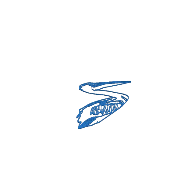 Pelican Swimming — Image 2 of 2
