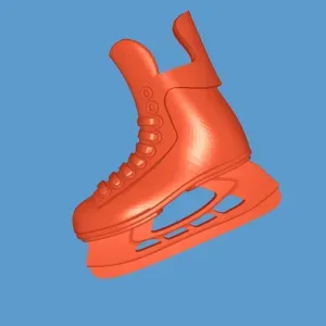 Hockey Skates