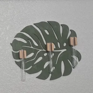 Monstera leaf wall hanger