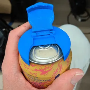 Can Lid