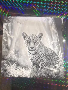 leopard in forist_