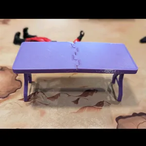WWE break table