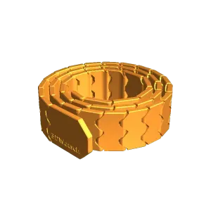 My Customized Belt Version 2.2