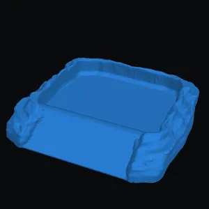 reptile water bowl