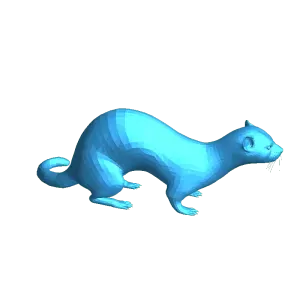 Ferret
