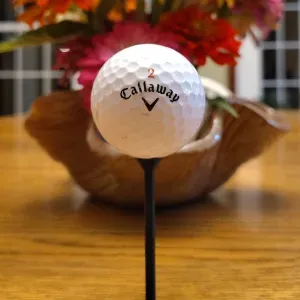 Golf tee (No supports)