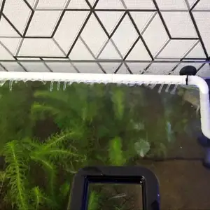 The nozzle drizzles after the aquarium filter