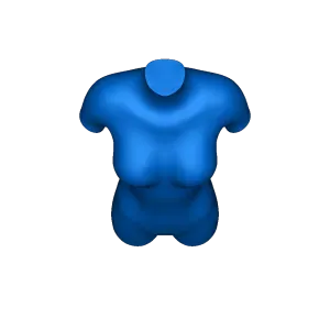 female torso