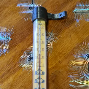 Mercury thermometer mount