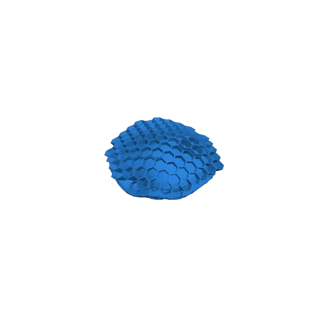 wasp decoy/ fake wasp nest — Фото 4 из 4