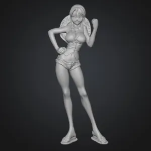 Nami from the one piece