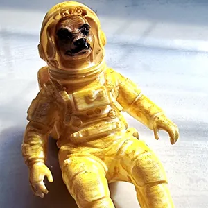 Astronaut Dog
