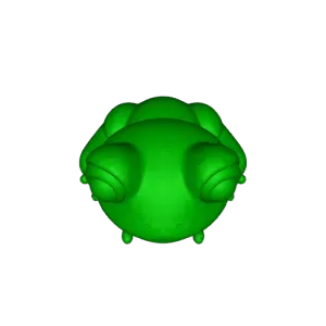 Cute Frog