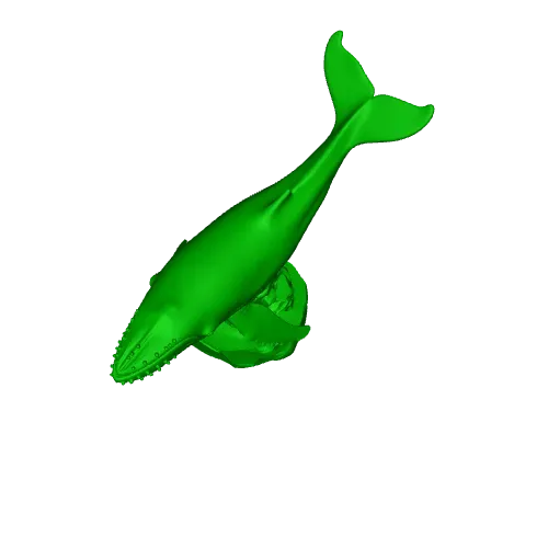 Humpback Whale — Фото 6 из 6