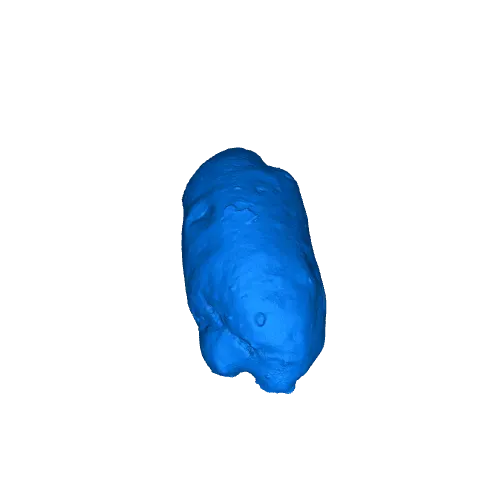 German "Briegel" Bread Roll 3D Scan — Фото 4 из 5