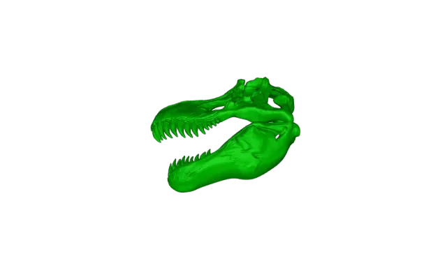 Jurassic Park Dinosaur Skulls Full and Halves Movie Decor — Image 8 of 9