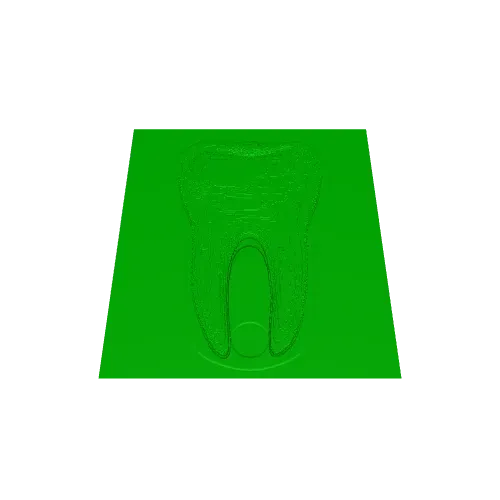 Human Tooth Keyring — Image 5 of 6