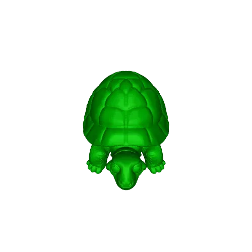 Flexi Tortoise | No support | Print in Place | Articulate — Фото 6 из 6