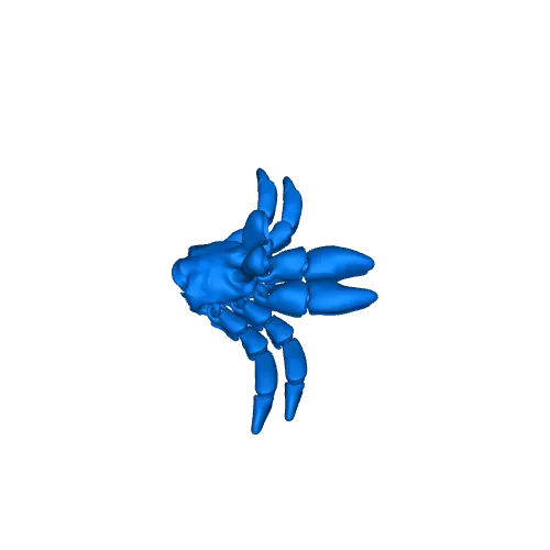 FLEXI STRAWBERRY CRAB — Image 4 of 8