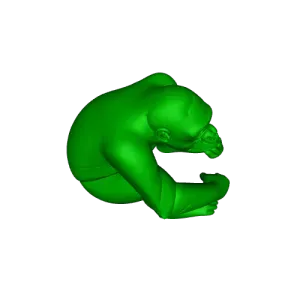 chimpancé