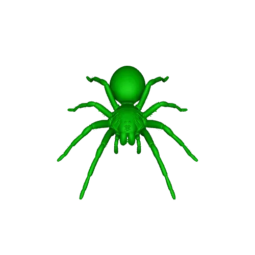 The most realistic spider — Фото 3 из 3
