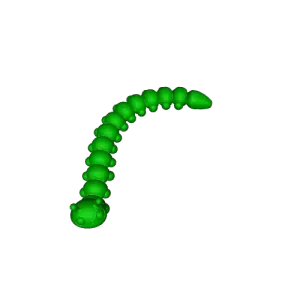 Grown Articulated Caterpillar