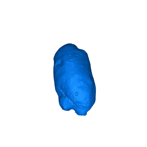 German "Briegel" Bread Roll 3D Scan — Фото 5 из 5