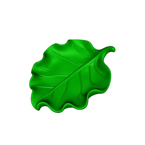 Leaf Fruit Plate — Фото 4 из 4