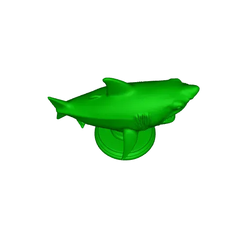 Shark — Фото 3 из 3