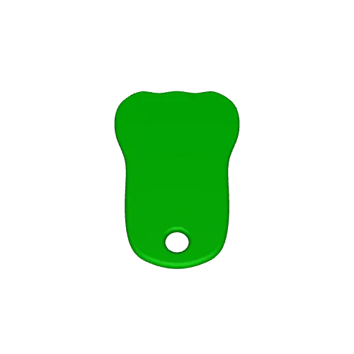 Human Tooth Keyring — Image 3 of 6