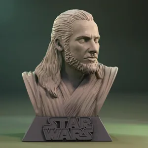 Qui-Gon Jinn Bust 3D Printer Files | Assembly