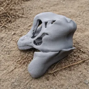 Brontosaurus Skull - Skull Replica STL