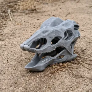 Desmatosuchus Skull - Skull Replica STL