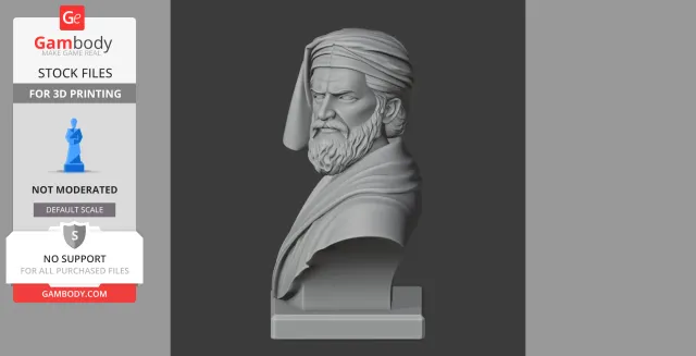 Marco Polo Bust - Historical Warrior STL — Image 4 of 9