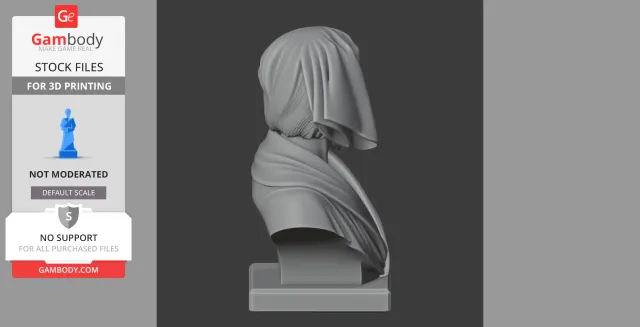 Marco Polo Bust - Historical Warrior STL — Image 8 of 9