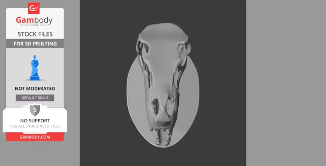 Airakoraptor Skull - Skull Replica STL — Фото 8 из 8