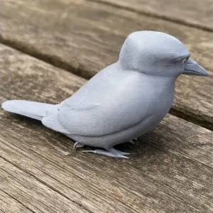 American pygmy kingfisher - Prehistoric Animal STL
