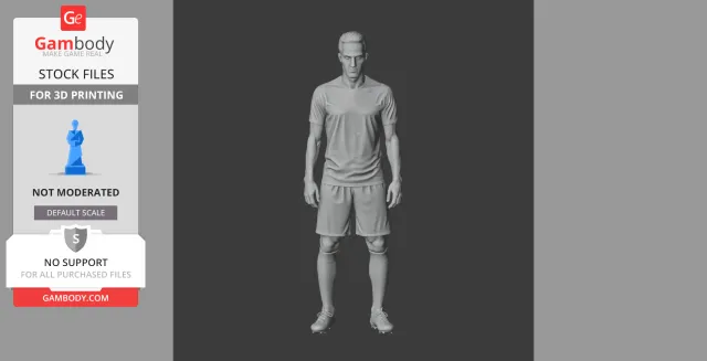 Robin van Persie Figurine - STL 3D Print — Фото 3 из 9
