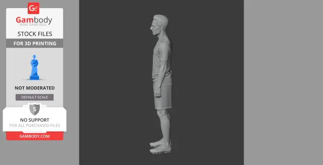 Robin van Persie Figurine - STL 3D Print — Фото 9 из 9