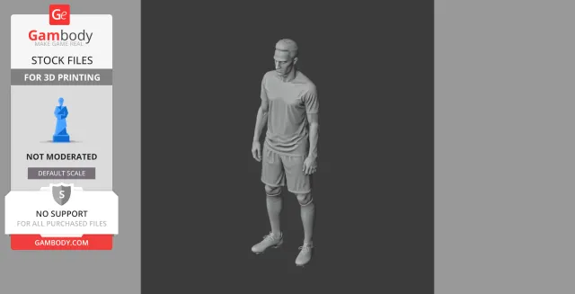 Robin van Persie Figurine - STL 3D Print — Фото 6 из 9